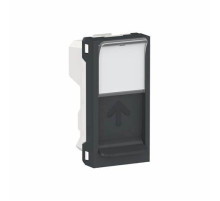 RJ45 накладка 1 модуль (антрацит) Schneider Electric